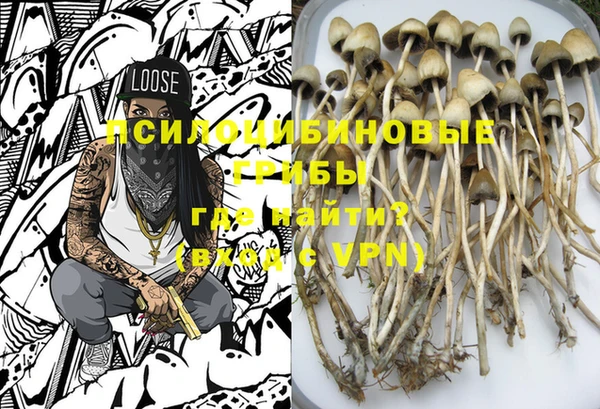твердый Семёнов